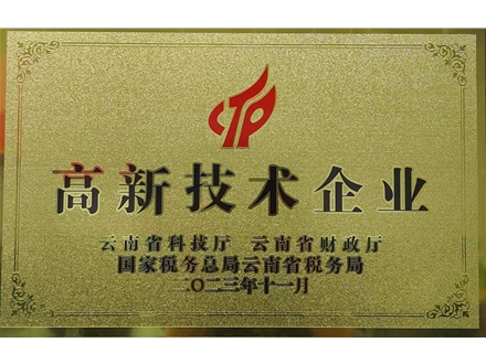 高新技术企业