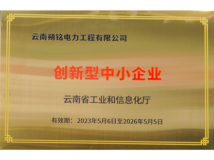 创新型中小企业